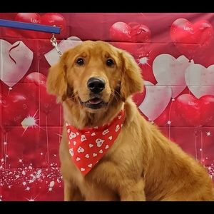 Meet your Posher, Renee